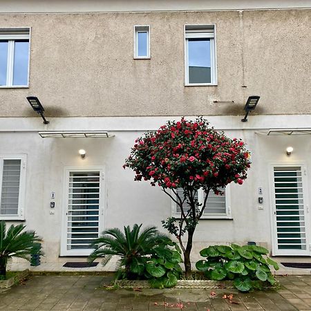Appartamento Casa Crispino Piano Terra Per 2 Persone Frattaminore Zewnętrze zdjęcie